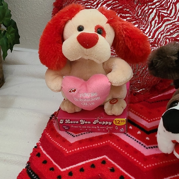 Valentines Day Gift Bundle - Picture 10 of 12